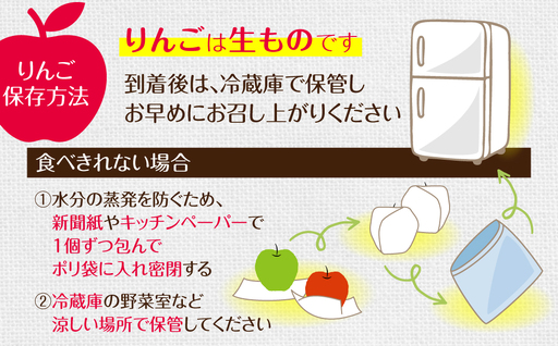 【先行予約】北海道壮瞥町産りんご「サンつがる」約3kg(8～11玉)＜2026年9月下旬よりお届け＞ SBTF001