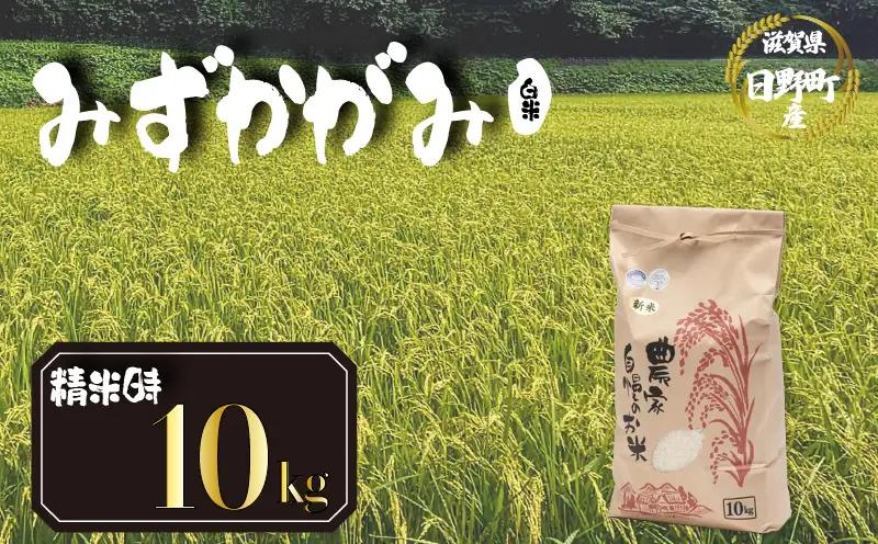 【先行予約】令和8年産 新米 みずかがみ 10kg 白米 米 【KW011】 近江米 精米