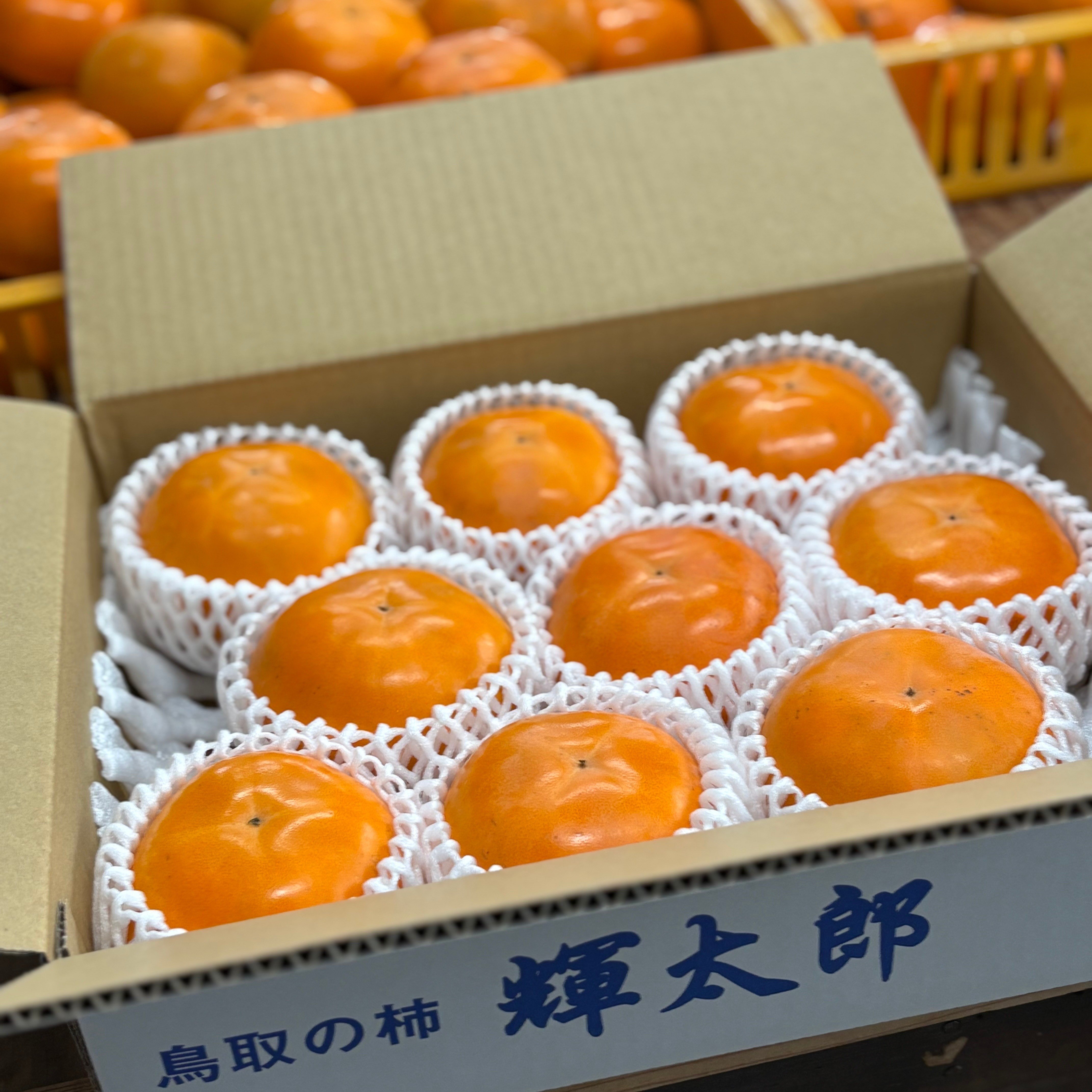 
            【2026年発送】輝太郎（秀品）3kg
          