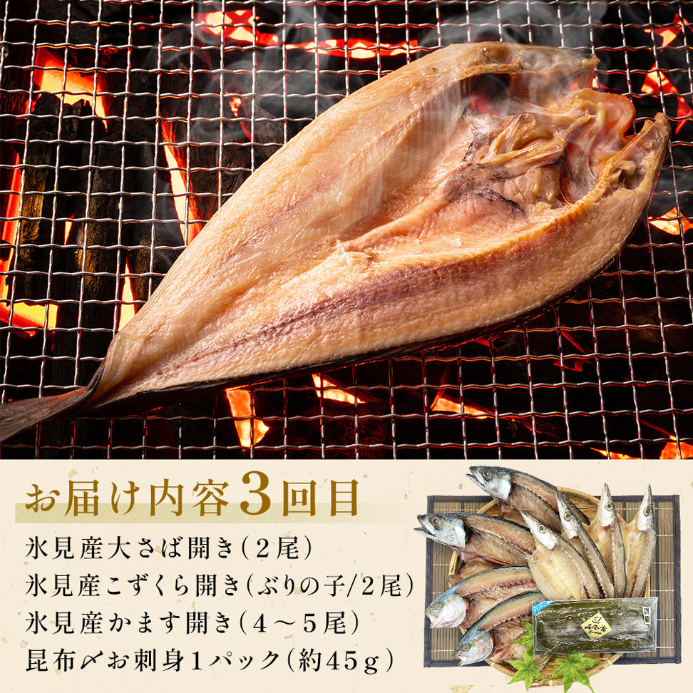 〈隔月3回定期便〉 富山県氷見尽くし！「氷見ぶり」「氷見