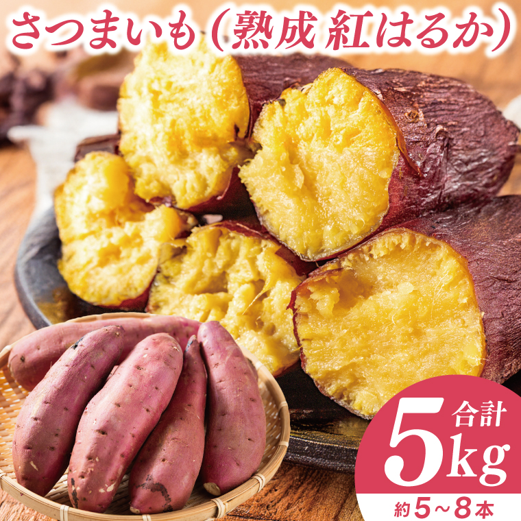 【先行予約】【訳あり】完熟高糖度 さつまいも（紅はるか）約5kg（サイズ：2L～4L）【熟成 サツマイモ 焼き芋 キュアリング 茨城県 鹿嶋市産】【2025年6月～順次発送】（KDV-001）