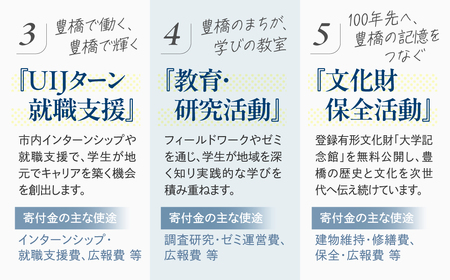 ≪返礼品無し≫【愛知大学】豊橋市大学応援寄附 3000円 大学寄附 愛知県豊橋市への寄附 返礼品無し 寄附のみ 豊橋市 穂の国 東三河 3000円 ポッキリ 愛知県 豊橋市