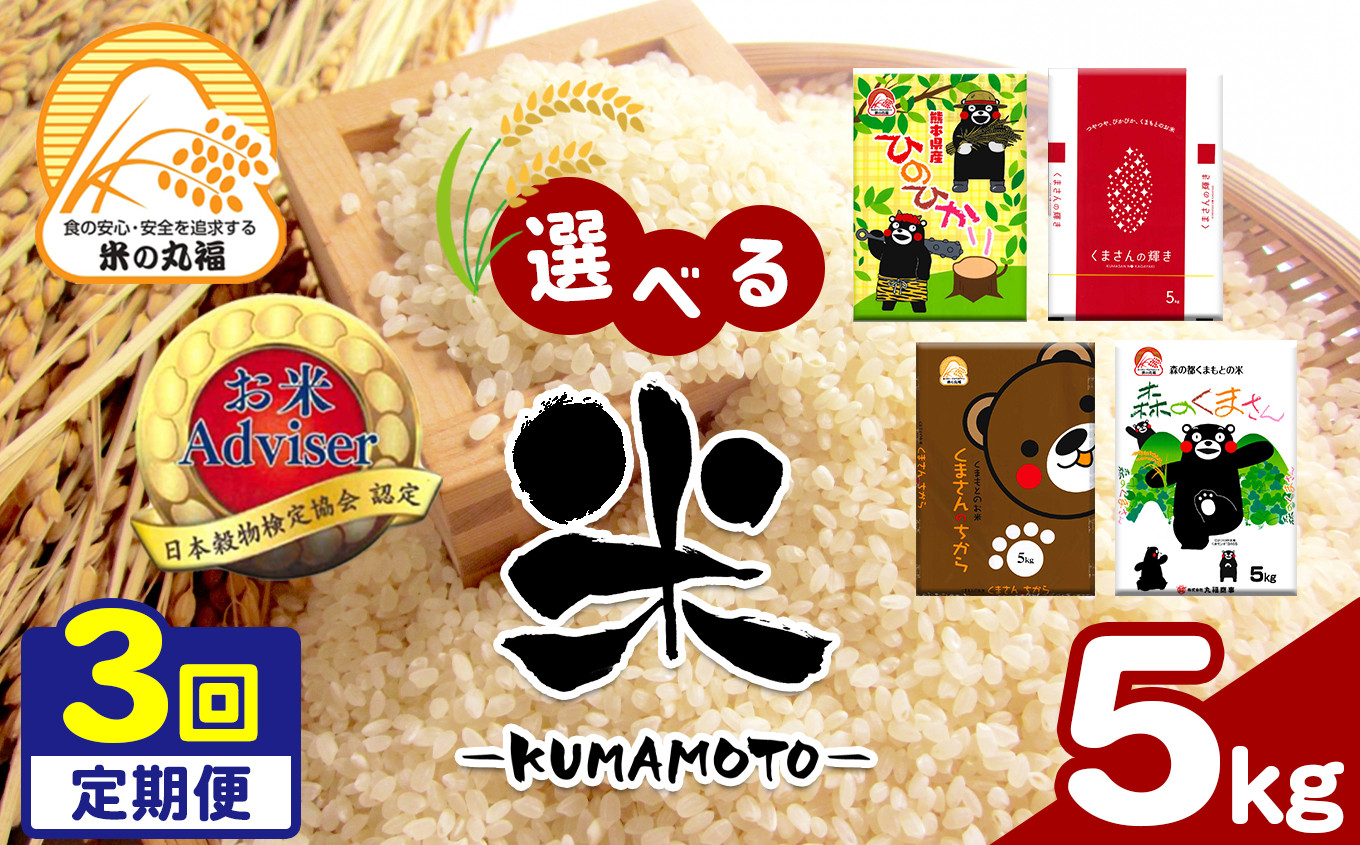
            【定期便3回】≪選べる品種≫熊本県産米 5kg×3回 | お米 米 おこめ こめ 白米 精米 定期 定期便 熊本県 玉名市
          