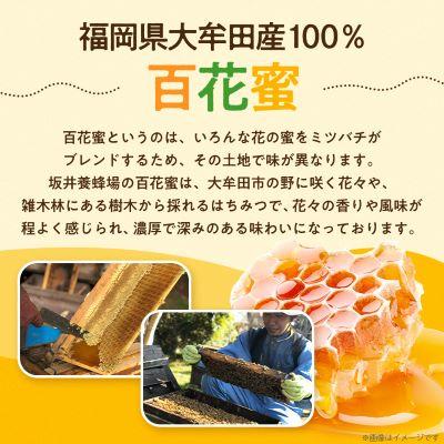 ふるさと納税 大牟田市 坂井養蜂場　みつばちの雫　500g+300g(合計800g)国産蜂蜜 |  | 01
