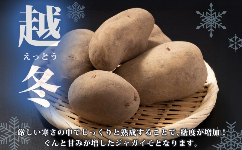 じゃがいも 越冬はるか 10kg 2026年1月中旬～3月下旬ごろお届け しっとり 甘い ロースト じゃがバター 産地直送 お取り寄せ 国産 小野寺農園 北海道 洞爺湖町