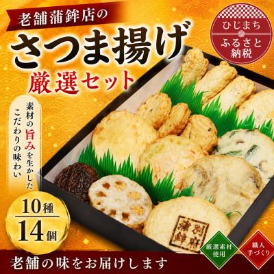 ふるさと納税 日出町 老舗蒲鉾店のさつま揚げ(天ぷら) 厳選セット 10種/14個入り