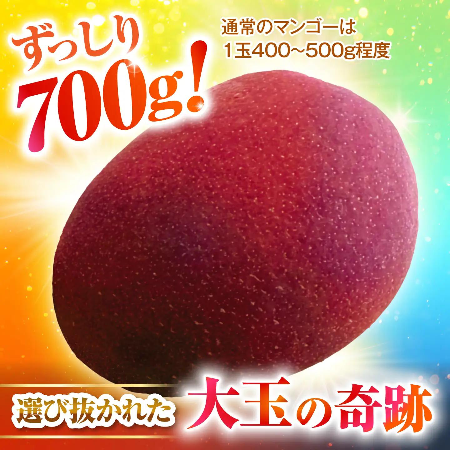 【2027年発送】大玉マンゴー 2個入り 沖縄 BCAN006