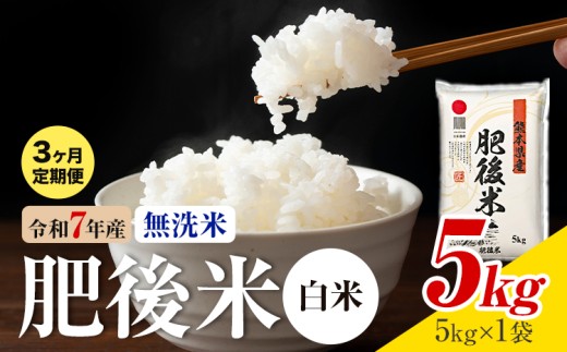 【3ヶ月定期便】熊本県産 肥後米 無洗米 白米 5kg 1袋5kg 米 お米 令和7年産 九州産 熊本県産 送料無料《お申込み翌月に出荷予定》 無洗米 白米 米