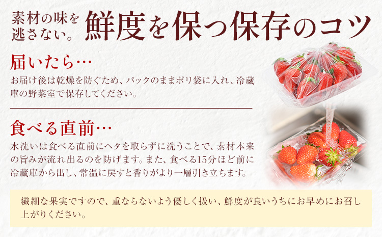 【先行予約】いちご イチゴ 苺 フルーツ 果物 紀州和歌山 ブランドいちご 紀の香 250g × 4パック 1kg 1000g 株式会社魚鶴商店《2027年2月上旬-2月下旬頃出荷》和歌山県 日高町 