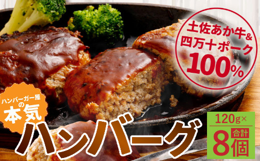 
ハンバーガー屋の本気ハンバーグ960ｇ（120ｇ×8個） ＜ 国産 高知県産 牛肉 豚肉 ブランド肉 希少 土佐あかうし 四万十ポーク ＞
