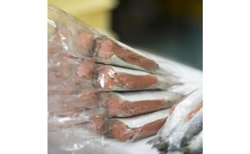 【福岡市】那嘉島のいわし明太子【中島商店】 5本入り | 魚卵 魚介類 水産 食品 人気 おすすめ 送料無料