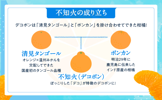 AA132.農家直送の不知火／約3kg（2027年2月発送予定)