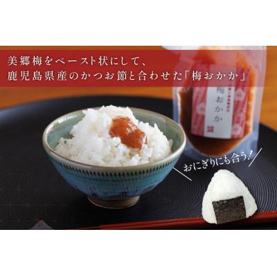 ふるさと納税 美郷町 南高梅 梅おかか 200g×2袋 [春夏秋冬いっつもや 宮崎県 美郷町 31ab0137] |  | 01