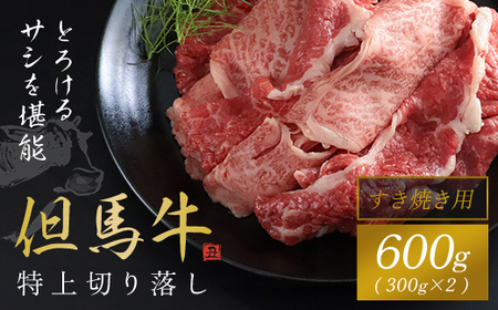 【但馬牛】特上切り落し300g×２パック(すき焼き用) AS1CA14