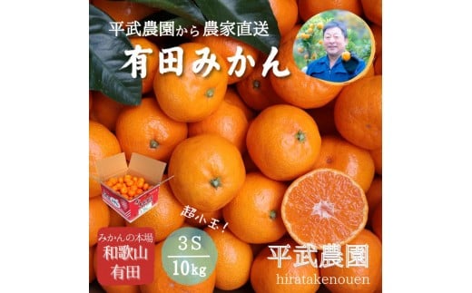 
            農家直送！有田みかん（10kg 3Sサイズ（超小玉）秀品）平武農園　～蛍飛ぶ町から旬の便り～
          