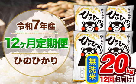 【12ヶ月定期便】 令和7年産 定期便 無洗米 ひのひかり 20kg 《お申込み翌月から出荷》熊本県産｜人気米 熊本県産米 お米 生活応援米