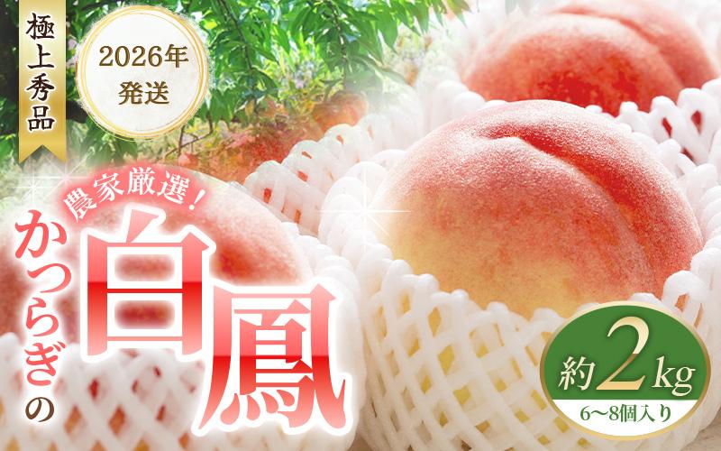 
                  桃 もも 2026 桃  白鳳　桃の王様！約2kg 6～8個【秀品】こだわり農家厳選 【2026年6月下旬～7月下旬頃順次発送】 /  桃 もも モモ 令和8年発送 期間限定 和歌山県 かつらぎ町 フルーツ 果物【BK012-kgr009B】
                