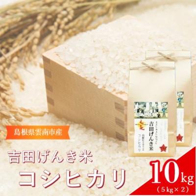 ふるさと納税 雲南市 島根県雲南市産　吉田げんき米　コシヒカリ　10kg(5kg×2)
