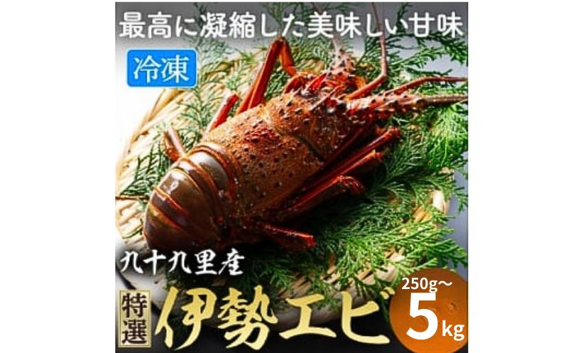 
                  【 先行予約 2026年度発送】 活〆 伊勢海老 選べる【約250g/（1尾入り）～（15尾～20尾入り）】 甘い ! 旨い ! 活け〆 リキッド 冷凍 伊勢海老 (刺身用) 約250g～5kg入り 海老 イセエビ エビ 瞬間冷凍 冷凍 真空個装 真空パック 刺身 生食用 魚介 新鮮 高級 人気 お祝い ギフト お取り寄せ グルメ おすすめ 送料無料 ふるさと納税 不動丸 千葉県 旭市 fdm
                