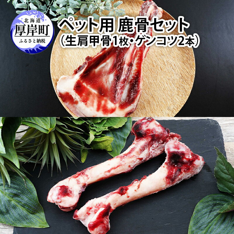 【ふるさと納税】ペット用 鹿骨セット（生肩甲骨1枚・ゲンコツ2本）鹿 しか ペット