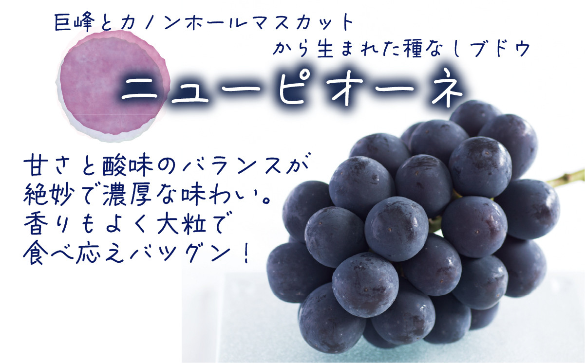 .花笑み農園　岡山の『ピオーネ&ラムピオーネジャム&飲む酢』【hana71】