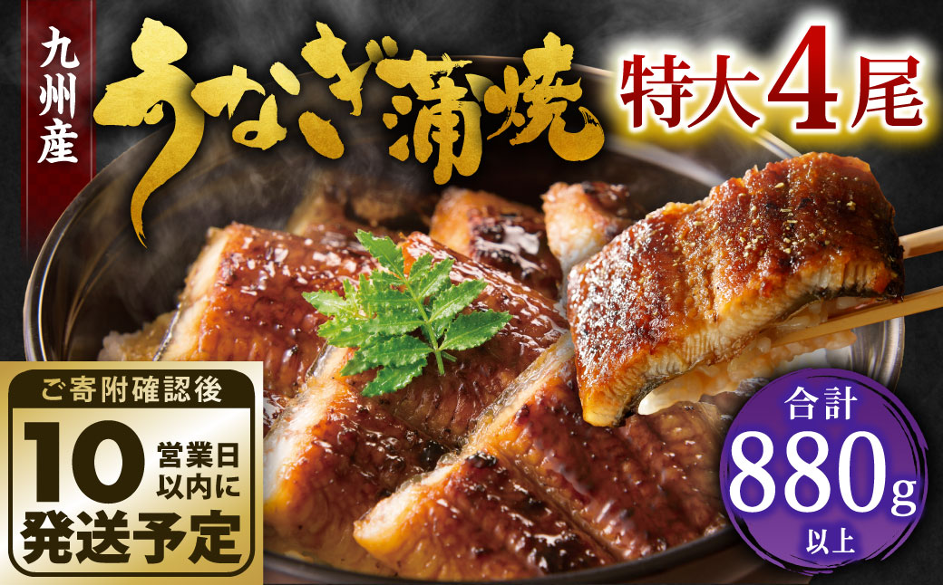 九州産 うなぎ 蒲焼 特大 4尾 計880g以上 (1尾あたり220～235g)