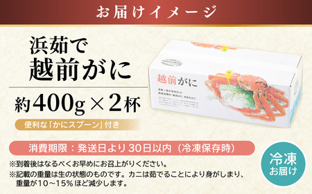 【先行予約】越前がに 約400g × 2杯【冷凍】【2026年11月下旬以降順次発送予定】急速冷凍 越前がに [m36-f002]