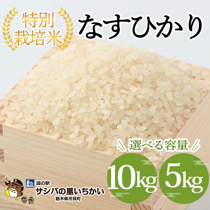 【ふるさと納税】【選べる容量】市貝町産 特別栽培米〈なすひかり〉5kg 10kg ｜ 国産 栃木県産米 お米 特別栽培米 精米 白米 栃木米 とちぎ米 ※離島への配送不可 ※2025年9月中旬頃より順次発送予定