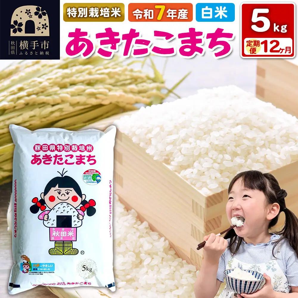 令和7年産【白米】《定期便12ヶ月》特別栽培米 あきたこまち 5kg 秋田県 横手市