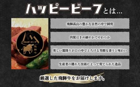 飛騨牛 A5等級 ロース ５００g 焼肉 飛騨牛 ブランド牛 Ａ5ランク ハッピープラス 飛騨高山 JQ017VC13