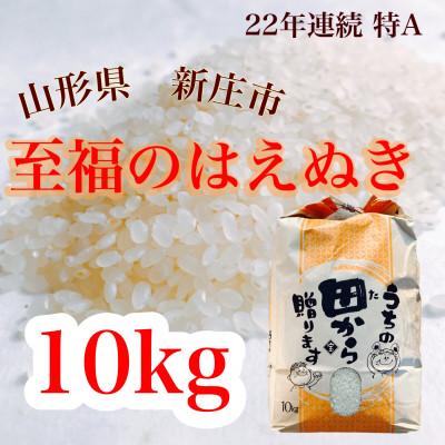 ふるさと納税 新庄市 新米 令和8年産 至福のはえぬき(精米)10kg