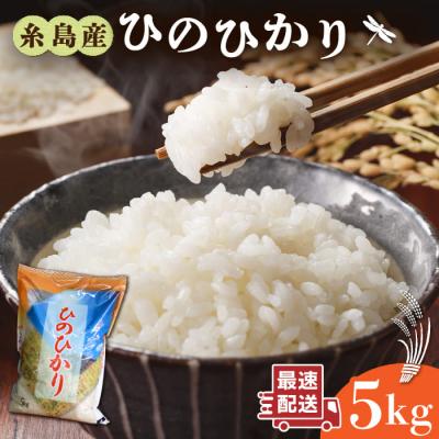 ふるさと納税 糸島市 糸島産 ひのひかり 5kg 糸島市/三島商店[AIM003]