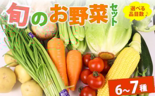 野菜 セット 6~7品目 以上 お野菜 季節 野菜 旬 新鮮 産地直送 詰め合わせ やさい おいしい 自然 セット 美味しい たっぷり 旬の野菜 セット 詰め合わせ7種類  国産 新鮮 お試し おまかせ お楽しみ 牧之原産 サラダ 野菜 朝採れ 季節の野菜 食品 冷蔵 お取り寄せ きせつ 農家 のうか  旬 春 夏 秋 冬 とれたて 季節もの とれたて セット丸新柴本製茶 静岡 県 牧之原市
