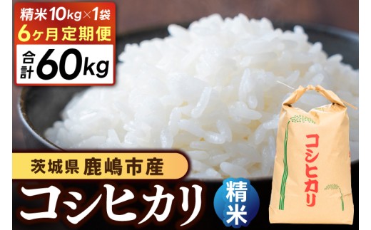 【先行予約】 新米 コシヒカリ 米 10kg 【6ヶ月定期便】10kg × 6回 精米 白米 ブランド米 数量限定 国産 おむすび おにぎり 弁当 美味しい グルメ 白飯 飯 ごはん ご飯 コメ おこめ こめ ※ okome kome 朝食 贈答 贈り物 お取り寄せ 産地直送 ギフト こしひかり 鹿嶋市産 令和8年産 茨城県 鹿嶋市 【10月以降順次発送】