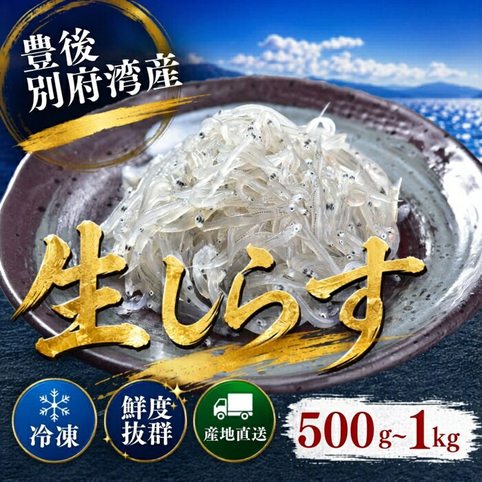 【ふるさと納税】 豊後別府湾生しらす 500g〜1kg（5パック〜10パック） 国産 添加物不使用 ／ 生しらす しらす 国産 小分け 冷凍 500g 1kg 海鮮丼 シラス丼 おつまみ 冷凍 冷凍配送10000円 ＜108-702＞
