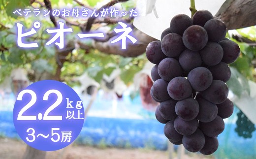 【2026年発送分 先行予約】【フルーツ王国山梨】ピオーネ  ２．２ｋｇ以上（３～５房）　 葡萄 ブドウ ぶどう 果物 くだもの 山梨 やまなし フルーツ 富士川町