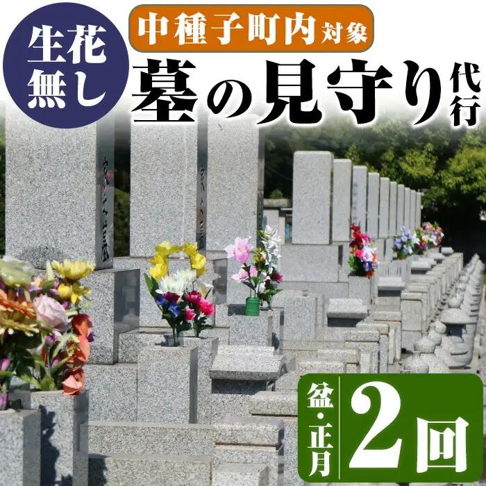 n130 ＜生花無し＞ 墓地 清掃 お墓 見守り サービス 2回 盆・正月 除草 管理 【中種子町シルバー人材センター】