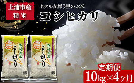 【定期便 4ヶ月】令和7年産　土浦市産コシヒカリ　精米10kg　ホタルが舞う里のお米 ※離島への配送不可 ※2025年9月中旬頃に順次発予定