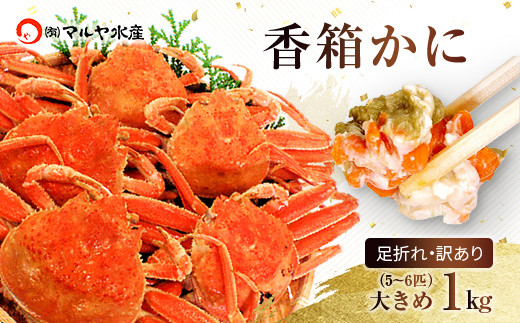 
                  【時期が選べる】【先行予約】【冷蔵発送】石川県産 香箱蟹 せいこ 訳あり 大きめ 1kg詰合せ (5～6匹) 浜茹で 産地直送 復興　震災　コロナ【能登半島地震復興支援】 北陸新幹線 F6P-1658
                