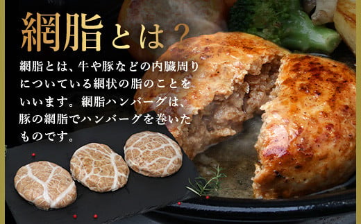 石垣島産 やえやまファームのアグー豚（南ぬ豚）網脂 ハンバーグ ≪6個セット≫【 ハンバーグ 石垣島産 国産 あぐー豚ハンバーグ 沖縄県 石垣 やえやまファーム 】(tokyoFMで紹介された「南ぬ豚