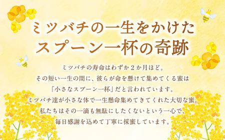はちみつ 450g 蜂蜜 ハチミツ 蜜 みつ ミツ 常温 国産 愛媛県 【えひめの町（超）推し！（愛南町）】【2025年5月下旬から順次発送予定】（327）
