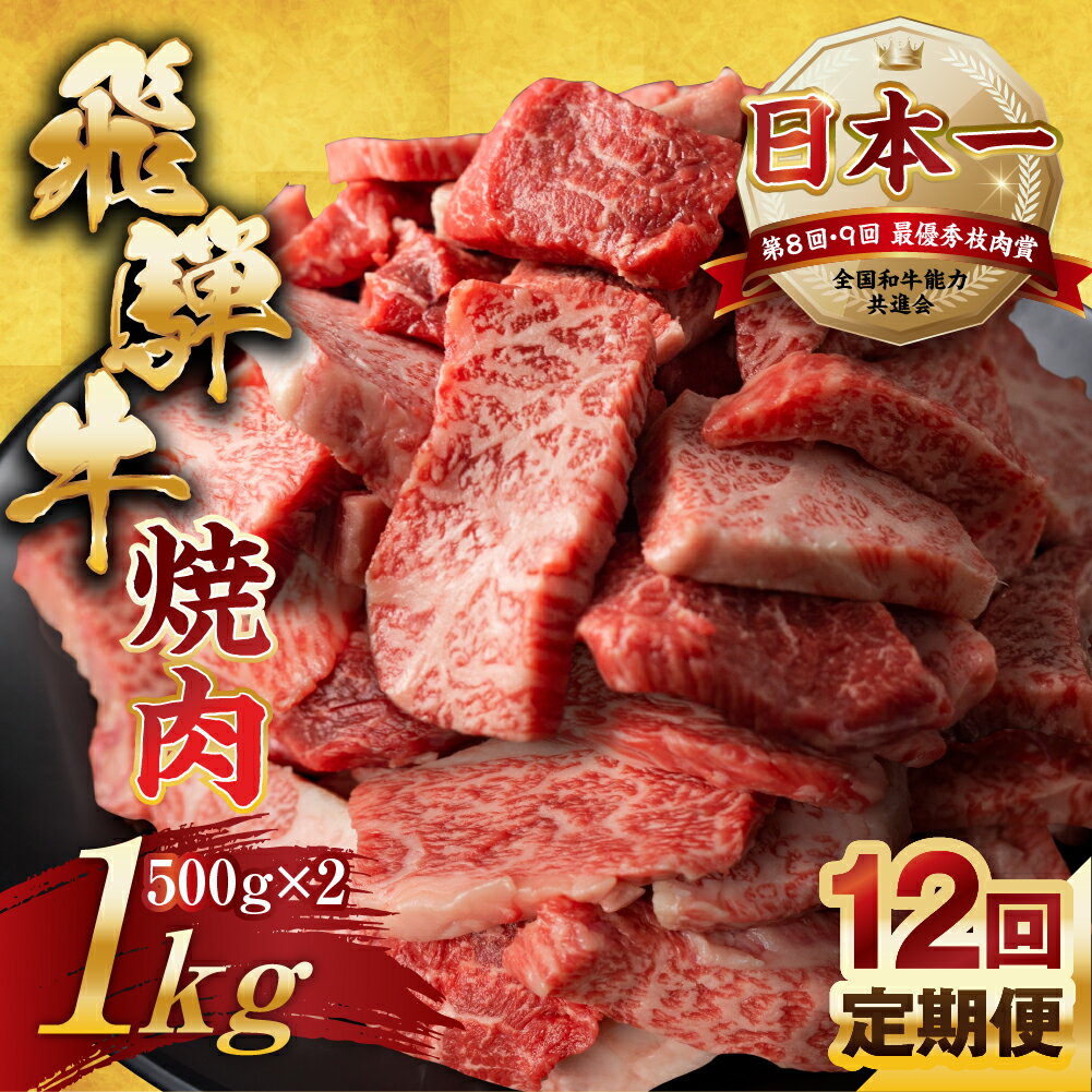 【ふるさと納税】【訳あり】定期便 飛騨牛 焼肉 切り落とし 500g × 2 計 1kg 12回お届け | 定期便 お楽しみ 牛肉 肉 切落し 和牛 国産牛 黒毛和牛 牛肉 肉 わけあり ワケアリ 不揃い 小分け 冷凍 本巣市 トキノ屋 食品 訳有 [mt448] 300000円