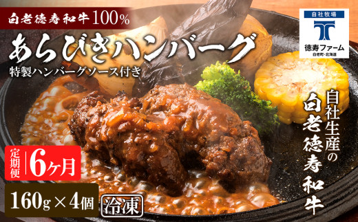 
定期便 6カ月 和牛 粗びき 生 ハンバーグ 4個セット デミグラスソース付き 160ｇ×4袋
