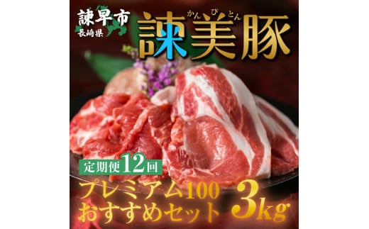 【12回定期便】＜米で育てた＞諫美豚プレミアム100おすすめセット3kg / 豚肉 ぶたにく 豚 ポーク 肩ロース ステーキ モモ 切り落とし ハンバーグ ロースステーキ パック 小分け/ 諫早市 / 株式会社土井農場 [AHAD033]