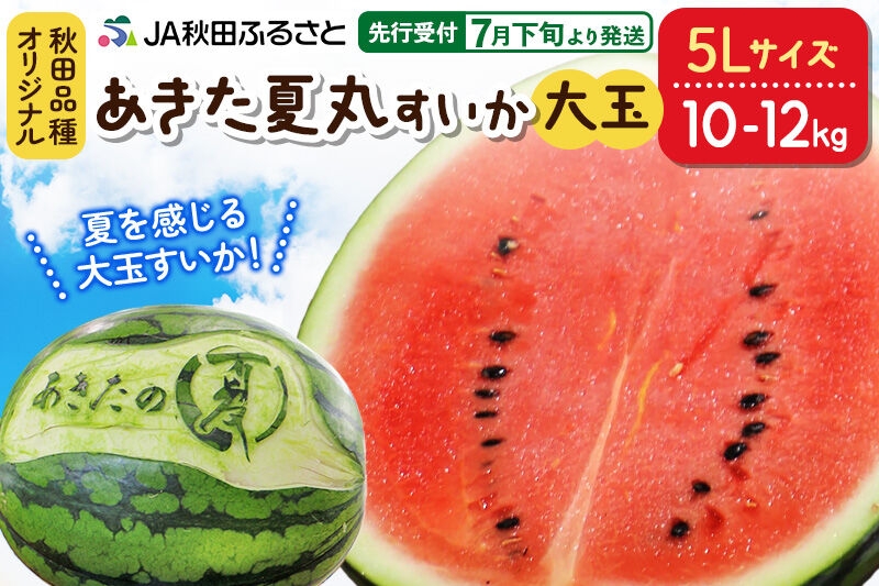 
                  【先行受付】7月下旬より発送 秋田県横手市産 あきた夏丸すいか 5Lサイズ×1玉（約10～12kg）化粧箱入り [先行予約 大玉 5Lサイズ 特大 スイカ すいか 西瓜 秋田県 横手市 果物 フルーツ 化粧箱 贈答用 贈り物]
                