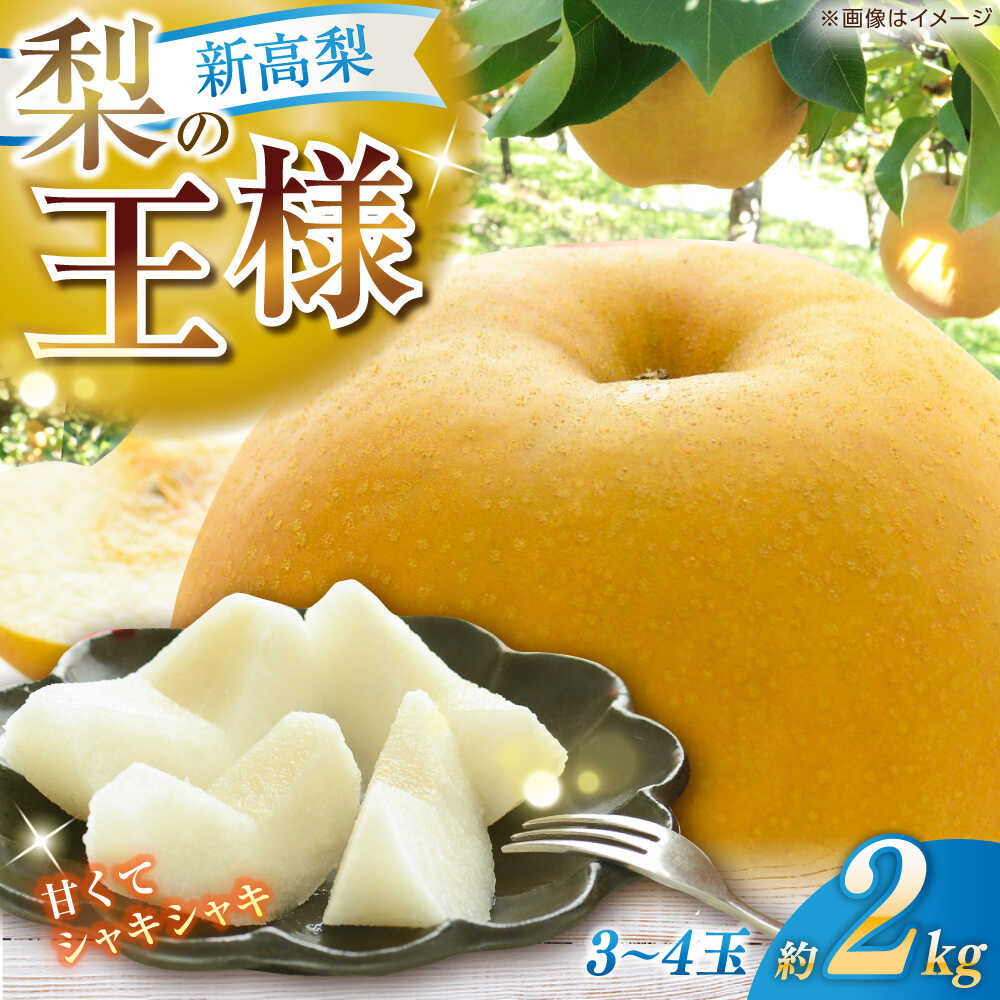 【ふるさと納税】 【先行予約】新高梨 約2kg（3〜4玉） 〈2026年9月20日〜10月末発送〉 / 高知県産 数量限定 針木 新高梨 梨 和梨 果物 フルーツ デザート 【川渕果樹園】[ATHX001]