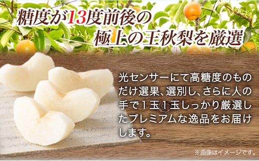 【2025年先行予約】プレミアム 王秋梨 約3kg (3~10玉) 高間商店《2025年10月下旬から2025年1月中旬頃出荷》鳥取県 八頭町 梨なし ナシ 果物 フルーツ 厳選 先行予約 ふるさと納