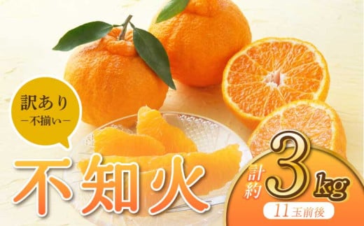 【先行予約】宇城市産 訳あり品 不知火 約3kg【うちやま果樹園】【2026年3月上旬から6月下旬発送予定】