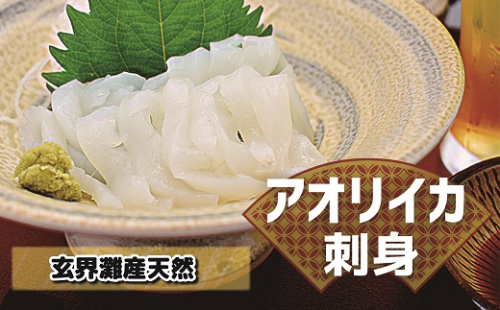 これは食べなイカん！！ お刺身アオリイカ600g（50g×12P）[G0063]