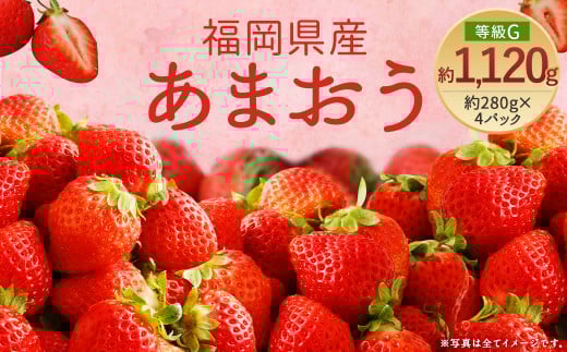 【先行予約】あまおう 等級G 約280g×4 計約1,120g いちご 苺 果物 フルーツ 【2026年2月上旬～2026年3月下旬発送予定】